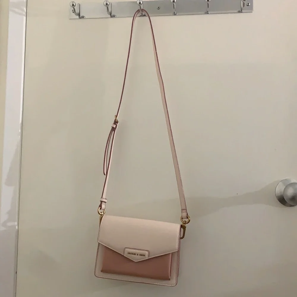 Charles & Keith bag brand new - Picture 3 of 8